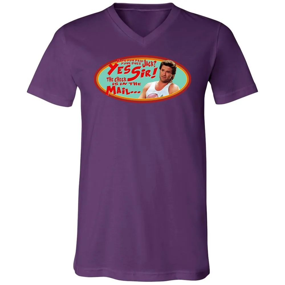 Unisex V-Neck T-Shirt - HZVFGSY8 - Team Purple - 9