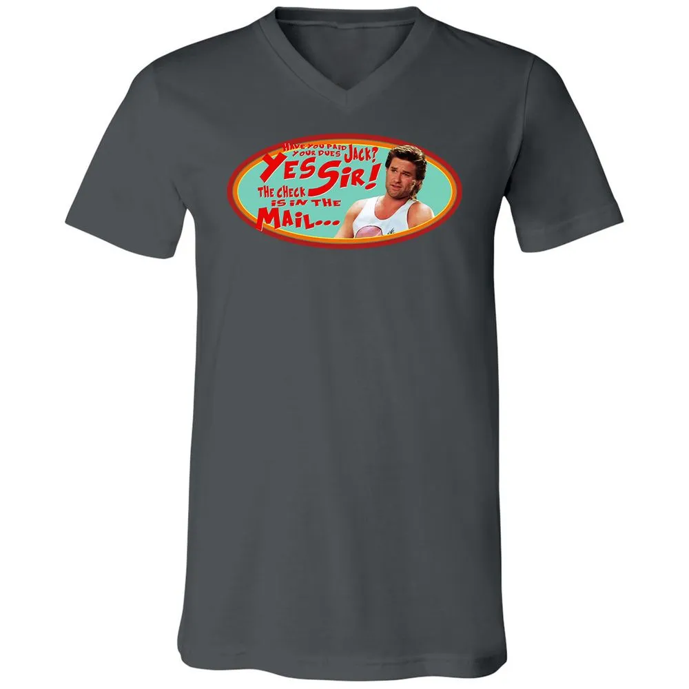Unisex V-Neck T-Shirt - HZVFGSY8 - Asphalt - 12