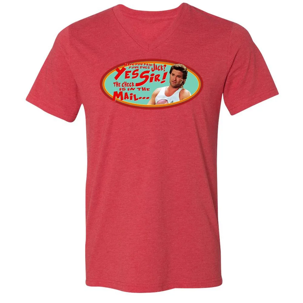 Unisex V-Neck T-Shirt - HZVFGSY8 - Heather Red - 16