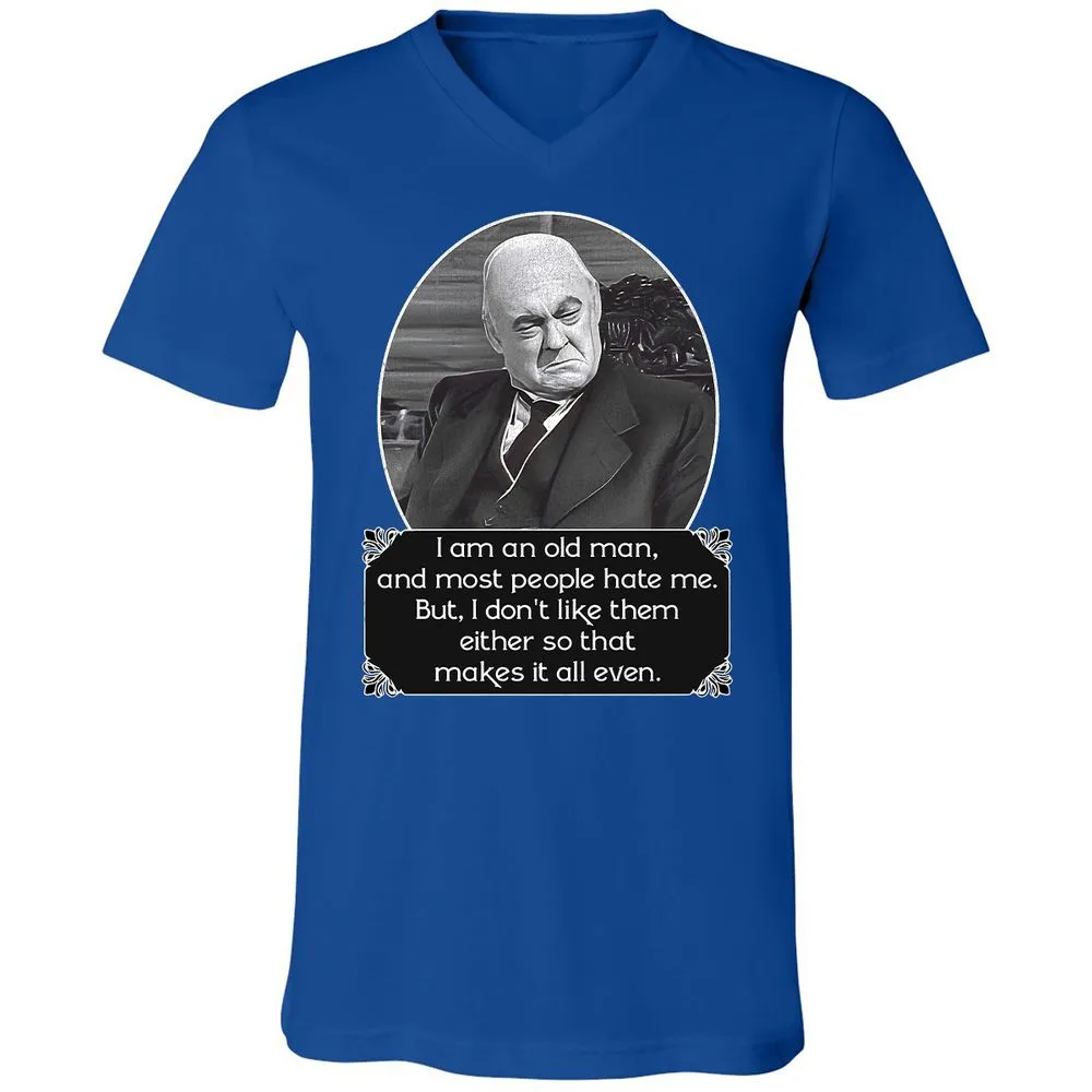 Unisex V-Neck T-Shirt - RBEV3Q57 - True Royal - 4