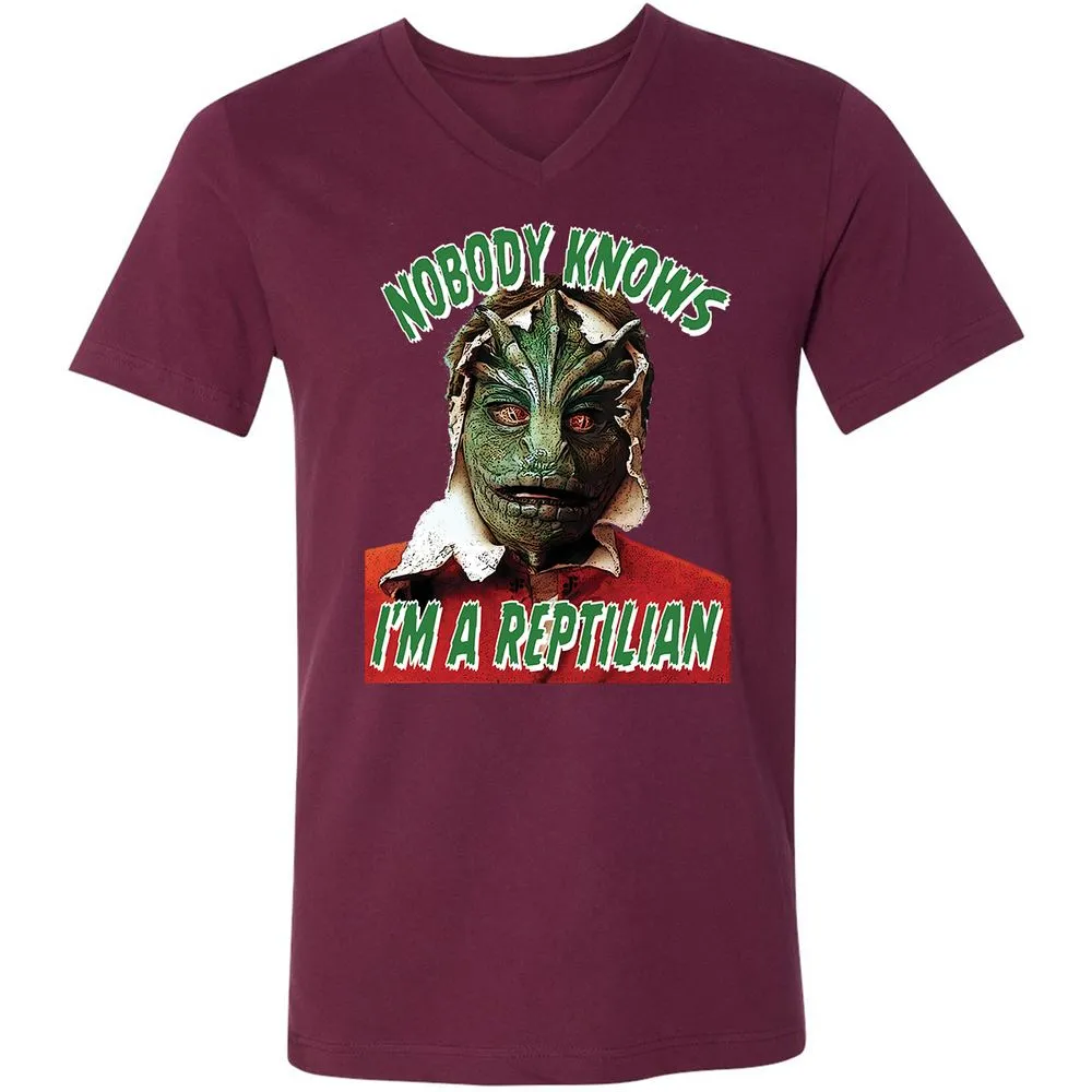 Unisex V-Neck T-Shirt - 3BEGK8AX - Maroon - 6