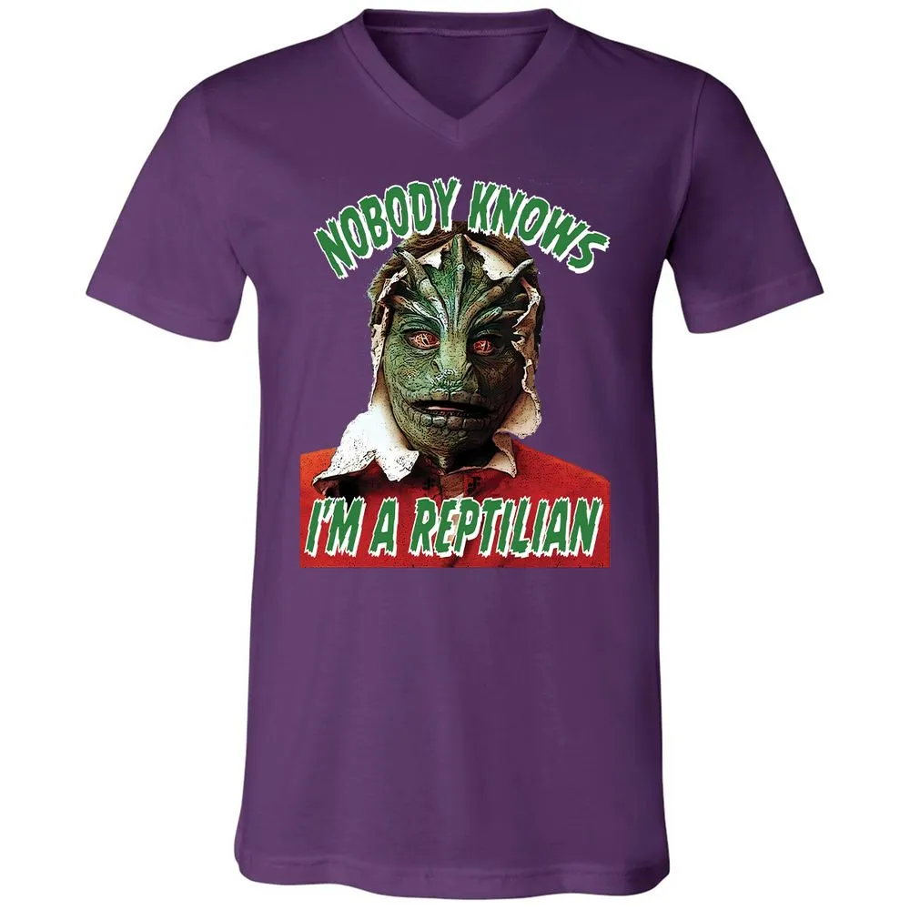 Unisex V-Neck T-Shirt - 3BEGK8AX - Team Purple - 9
