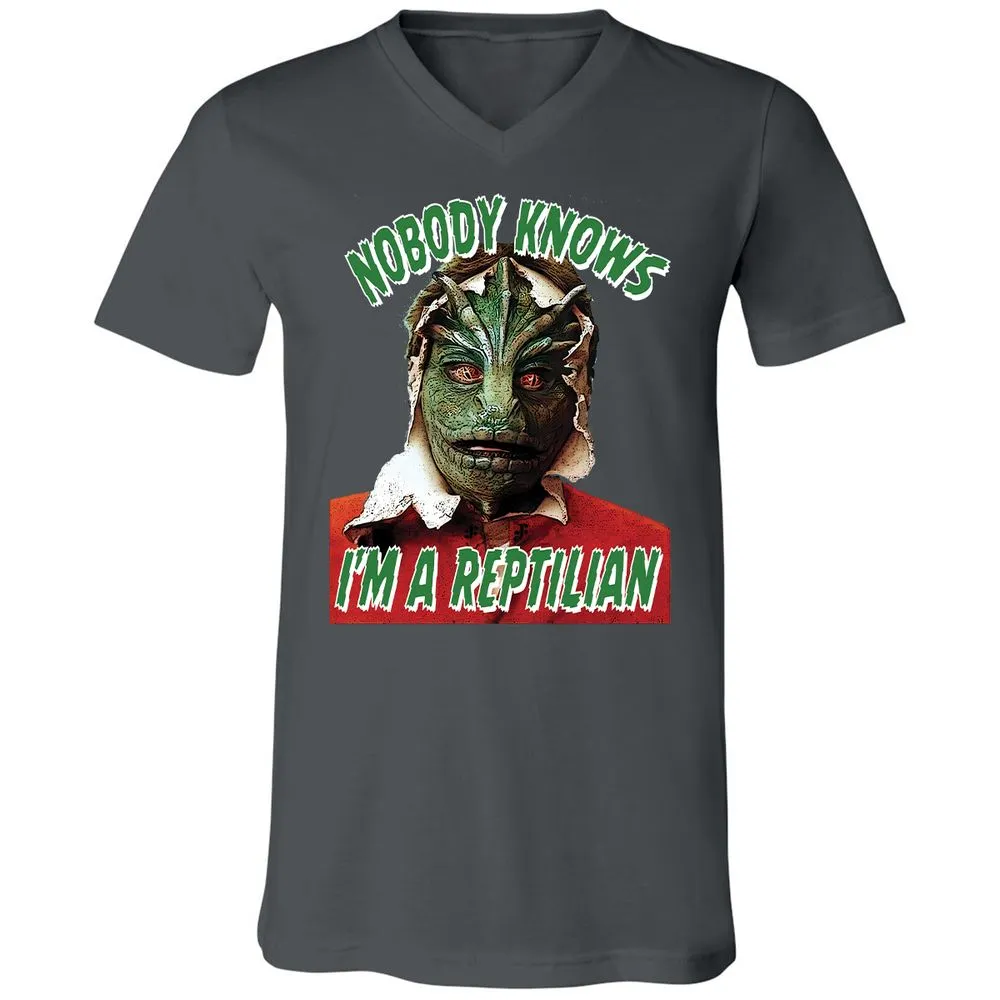 Unisex V-Neck T-Shirt - 3BEGK8AX - Asphalt - 12