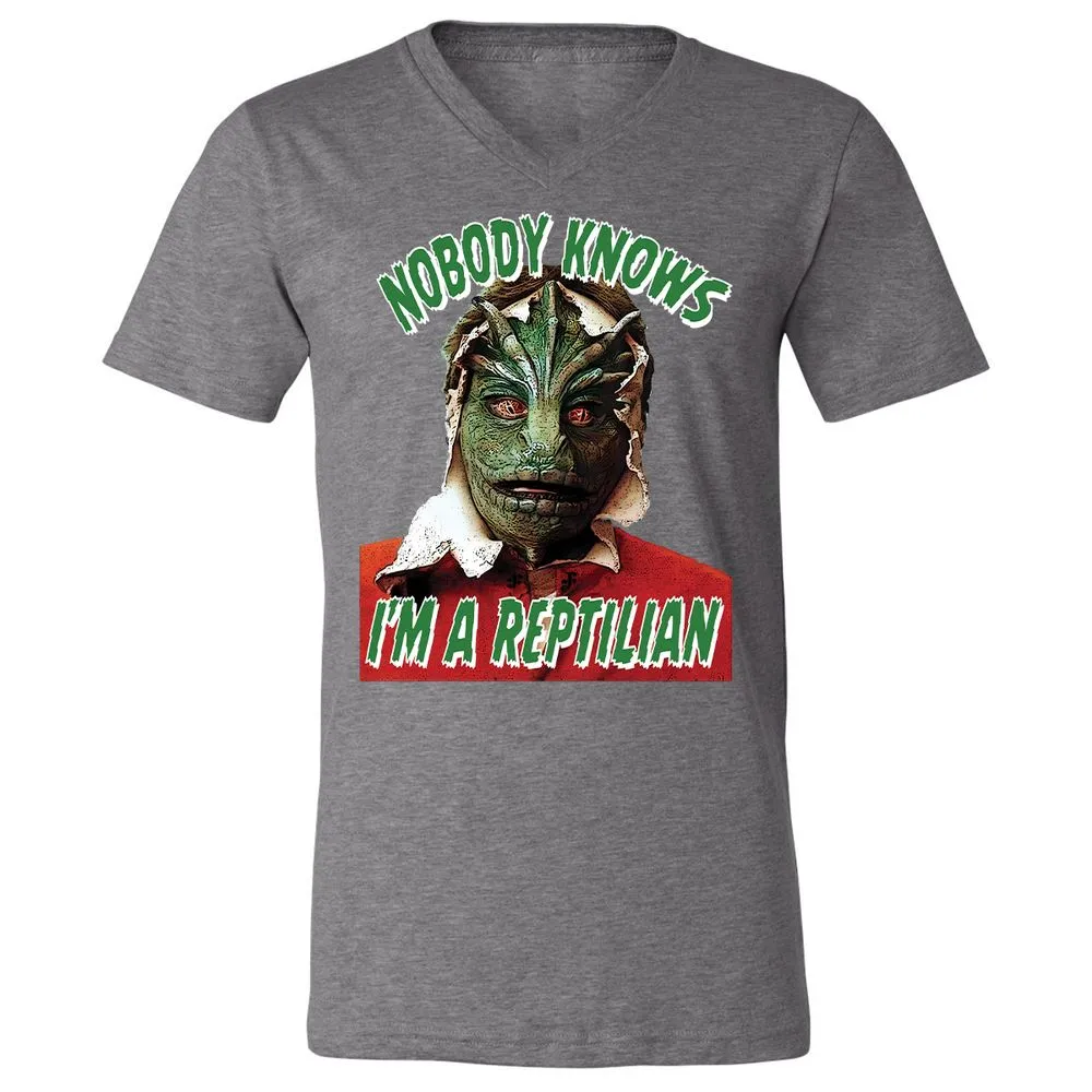 Unisex V-Neck T-Shirt - 3BEGK8AX - Deep Heather - 13