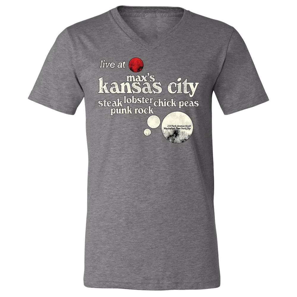 Unisex V-Neck T-Shirt - FKACXWG3 - Deep Heather - 13