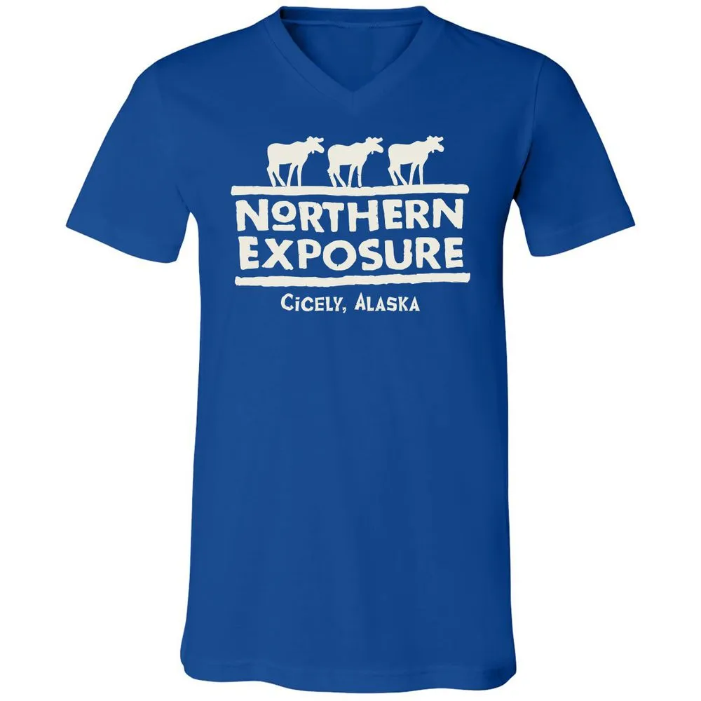 Unisex V-Neck T-Shirt - 9LMJQAS6 - True Royal - 4