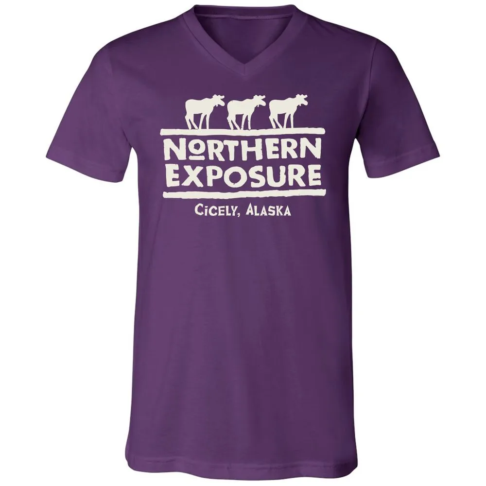 Unisex V-Neck T-Shirt - 9LMJQAS6 - Team Purple - 9