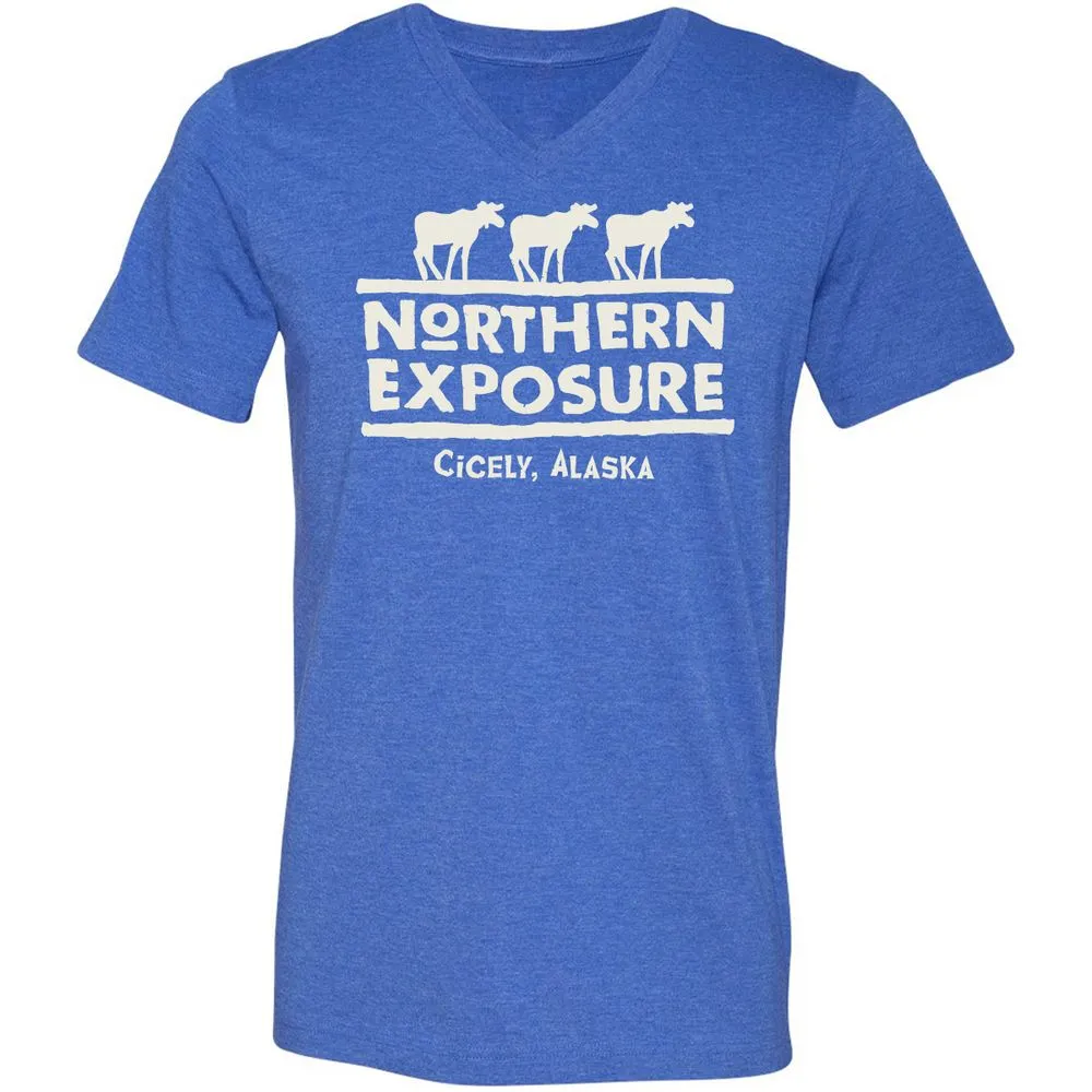 Unisex V-Neck T-Shirt - 9LMJQAS6 - Heather True Royal - 14