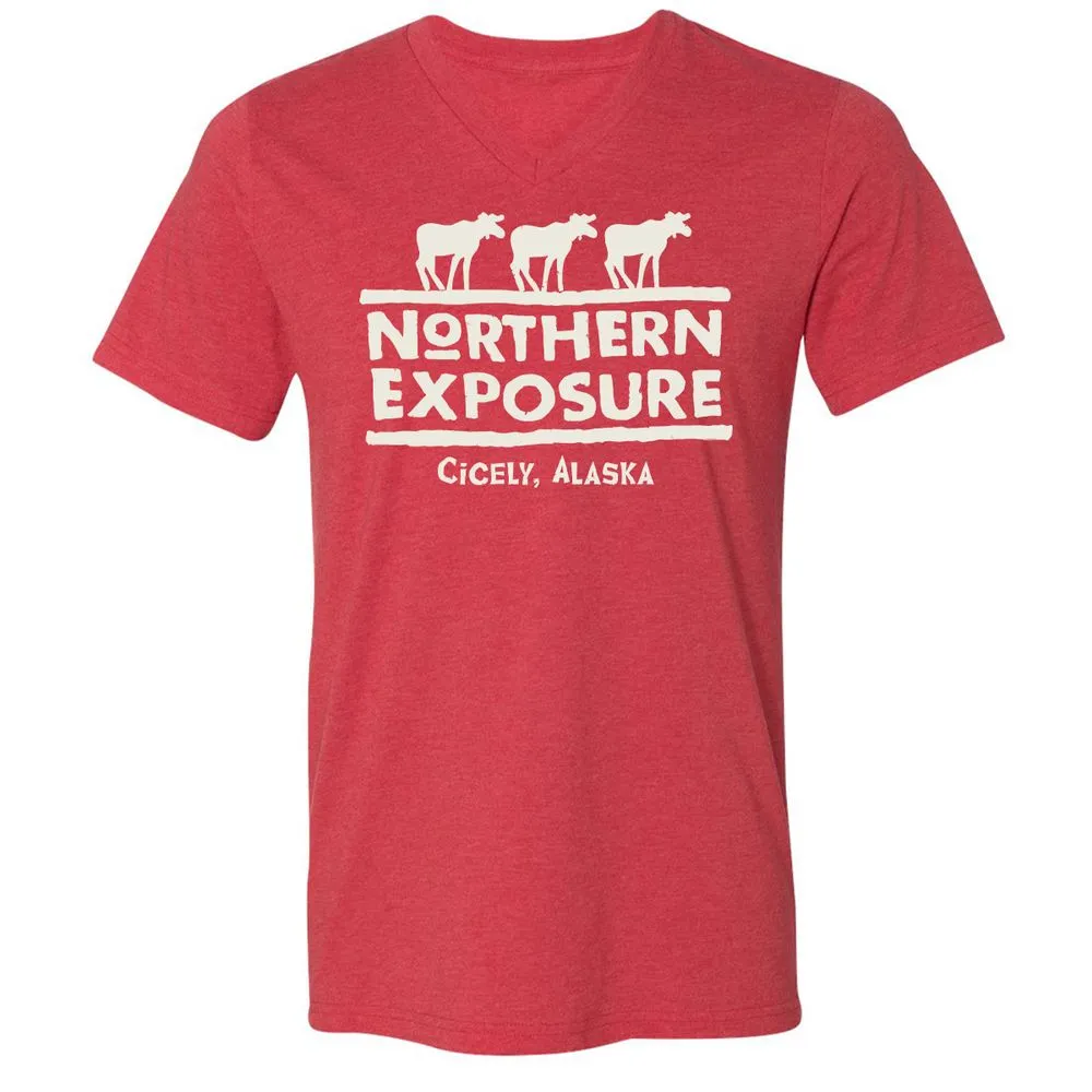 Unisex V-Neck T-Shirt - 9LMJQAS6 - Heather Red - 16