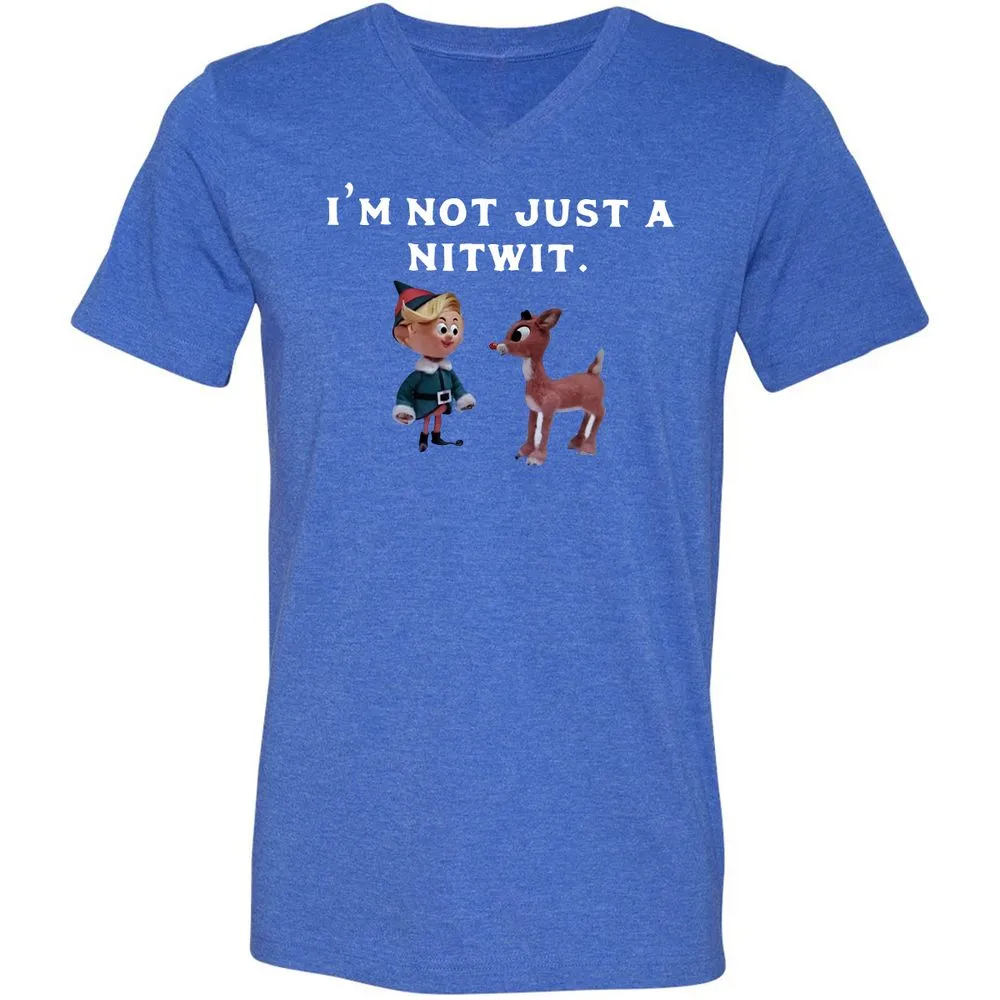 Unisex V-Neck T-Shirt - DPNMDE54 - Heather True Royal - 14