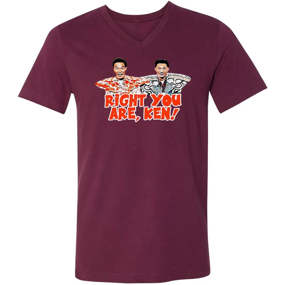 Unisex V-Neck T-Shirt - BMT948TH - Maroon - 6