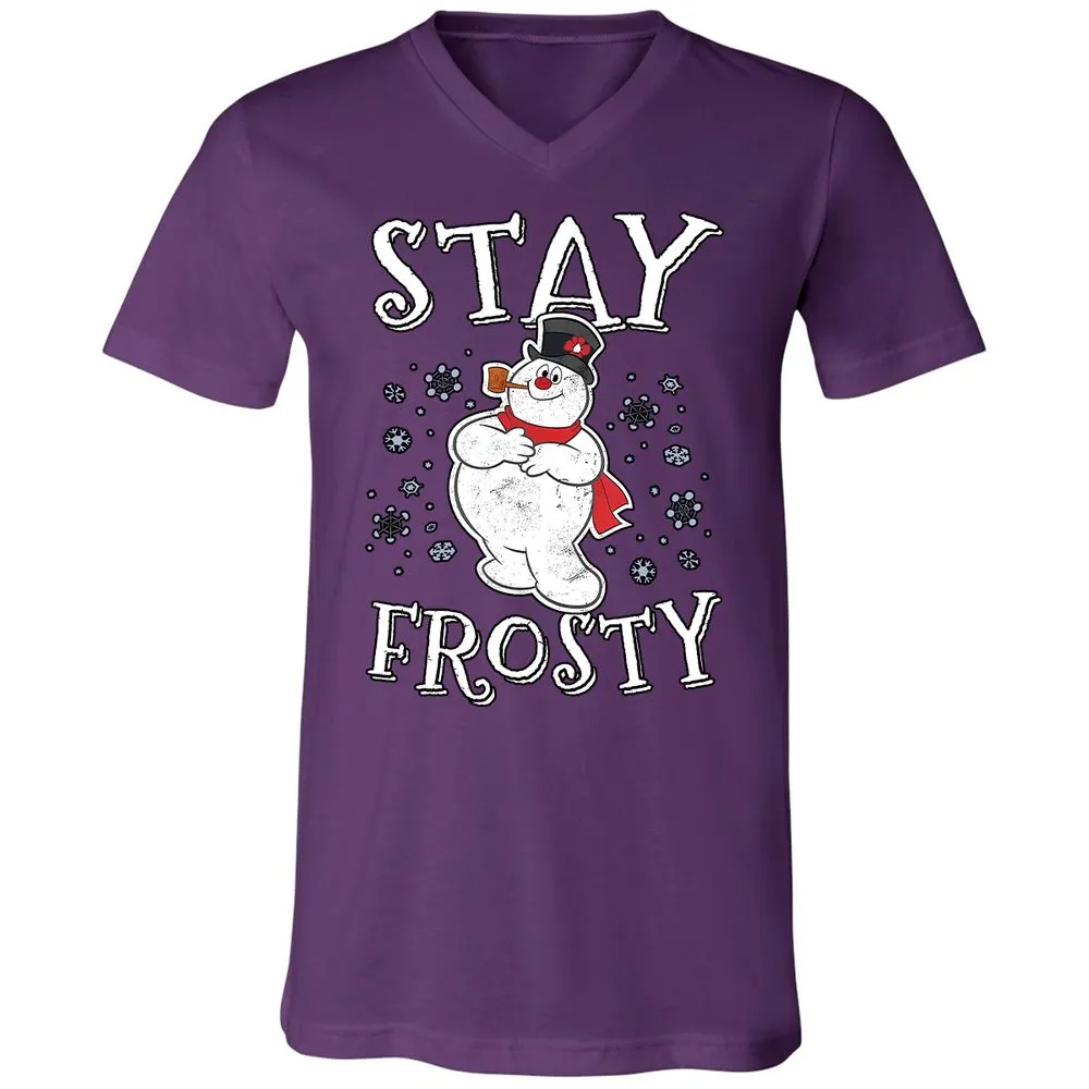 Unisex V-Neck T-Shirt - T5P7LFPJ - Team Purple - 9