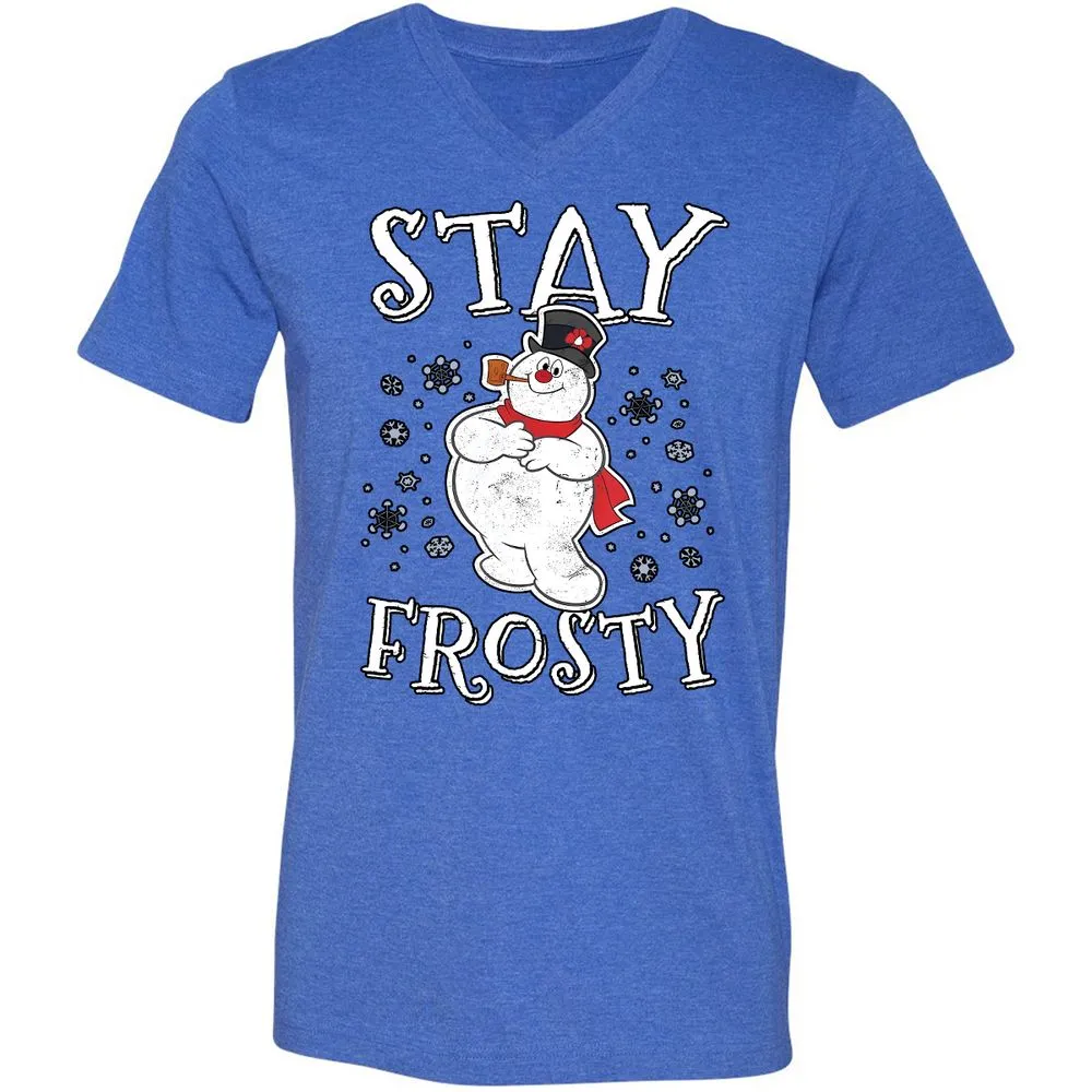 Unisex V-Neck T-Shirt - T5P7LFPJ - Heather True Royal - 14