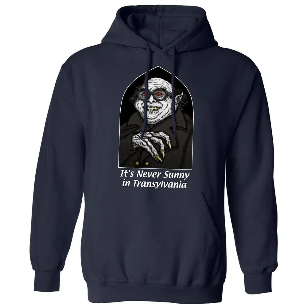 Classic Unisex Hoodie - Q2HXGFSY - Navy - 2
