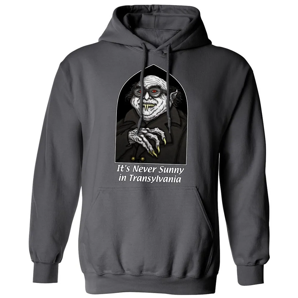 Classic Unisex Hoodie - Q2HXGFSY - Charcoal - 7