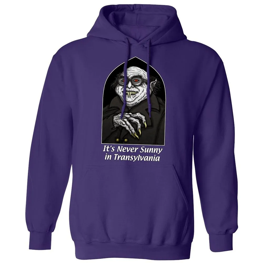 Classic Unisex Hoodie - Q2HXGFSY - Purple - 6