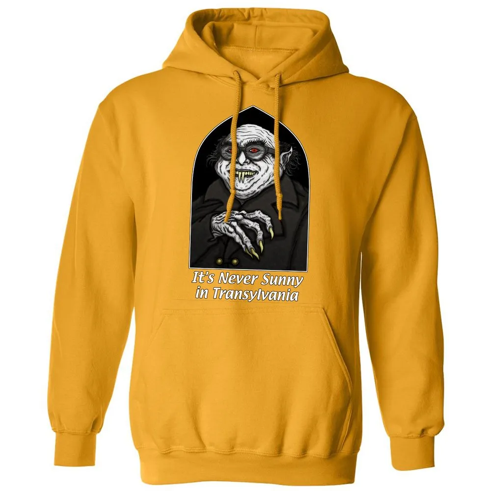 Classic Unisex Hoodie - Q2HXGFSY - Gold - 12