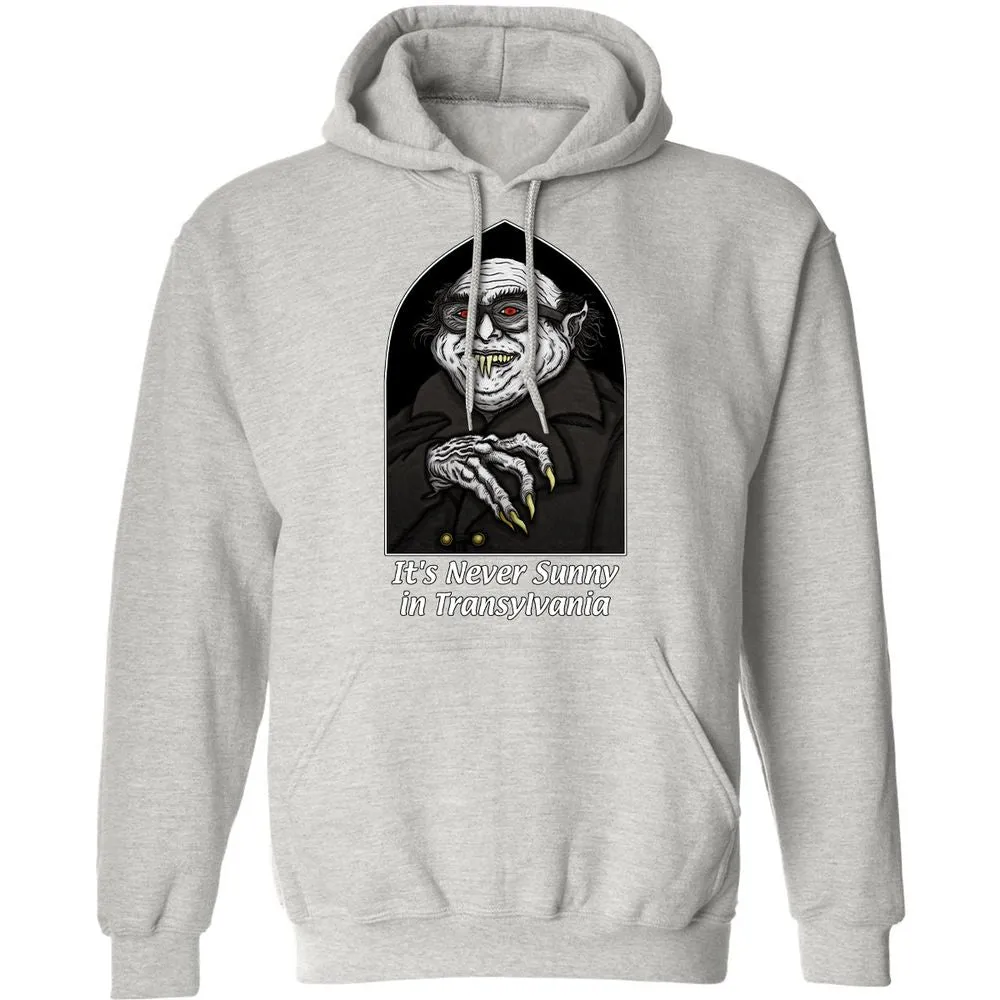 Classic Unisex Hoodie - Q2HXGFSY - Ash - 8