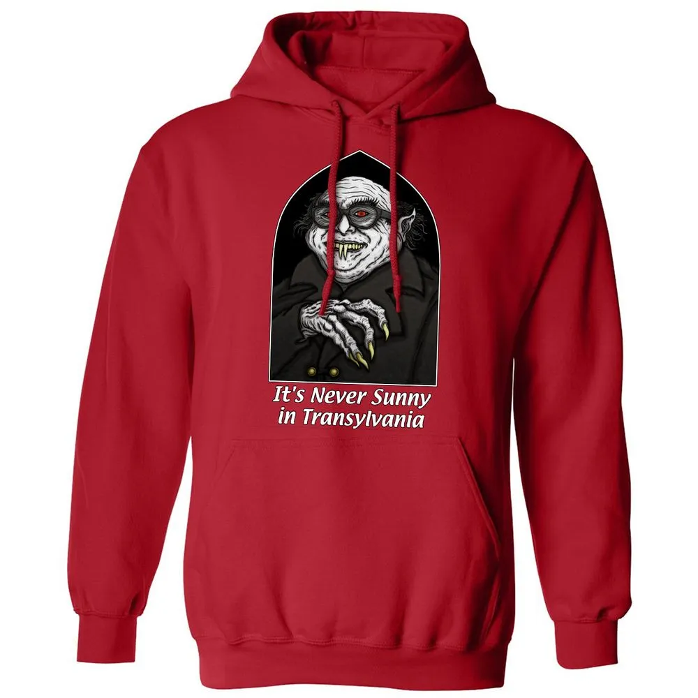 Classic Unisex Hoodie - Q2HXGFSY - Red - 5