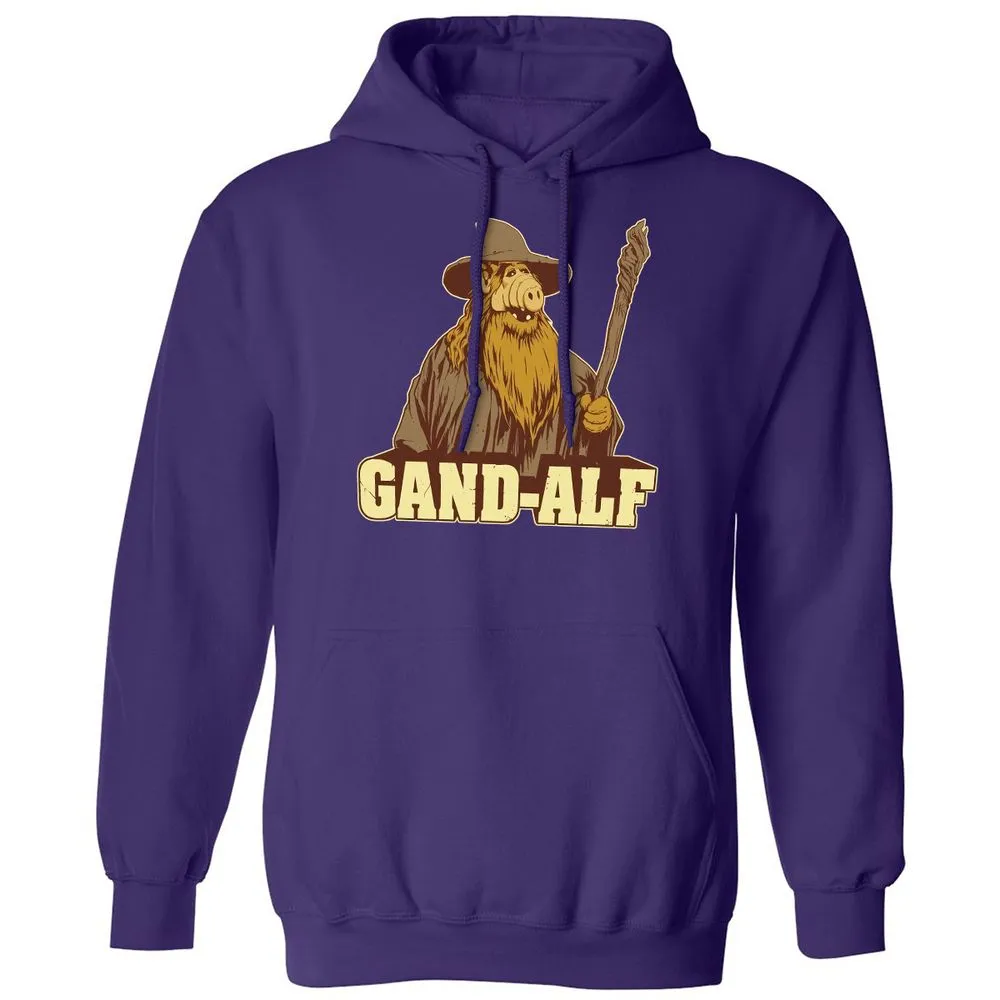Classic Unisex Hoodie - YTRLXLQS - Purple - 6