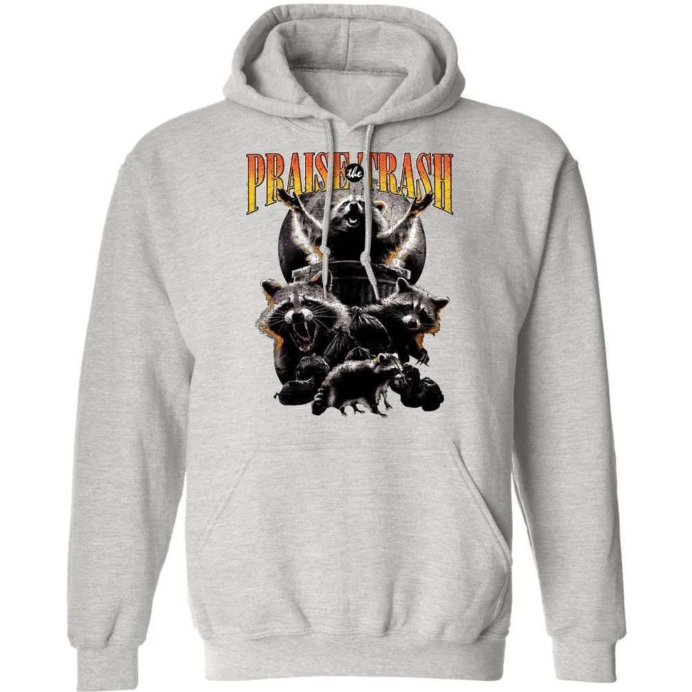 Classic Unisex Hoodie - NQT768GQ - Ash - 8