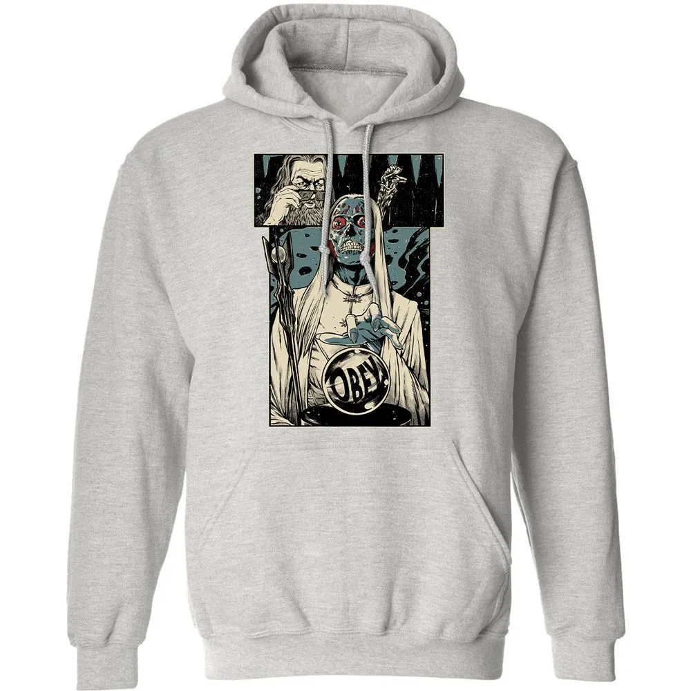 Classic Unisex Hoodie - Q6M65AVY - Ash - 8