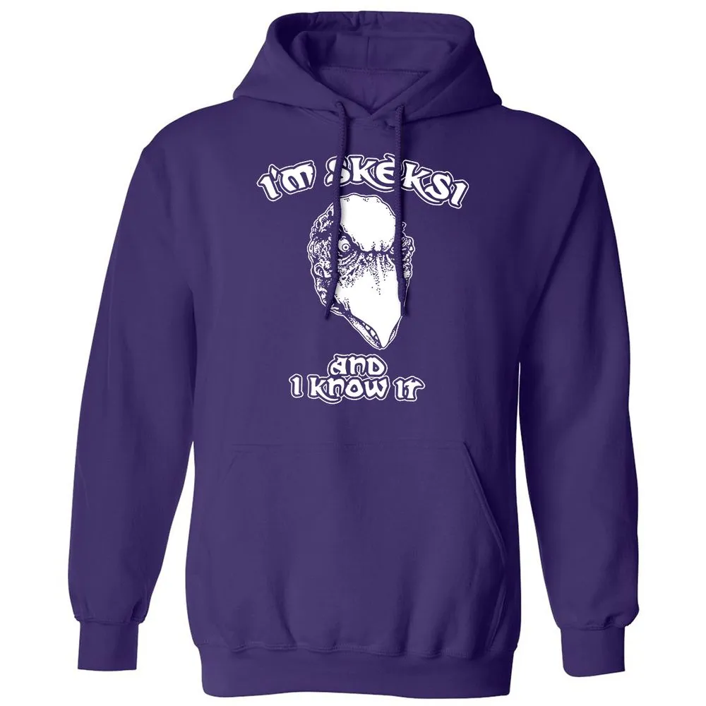 Classic Unisex Hoodie - KYRG16YH - Purple - 6