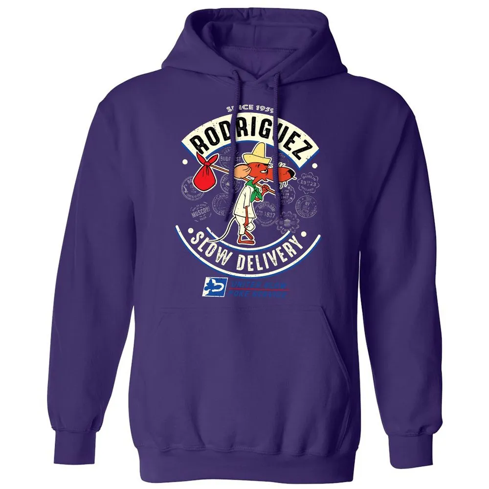 Classic Unisex Hoodie - HG7WNCPV - Purple - 6