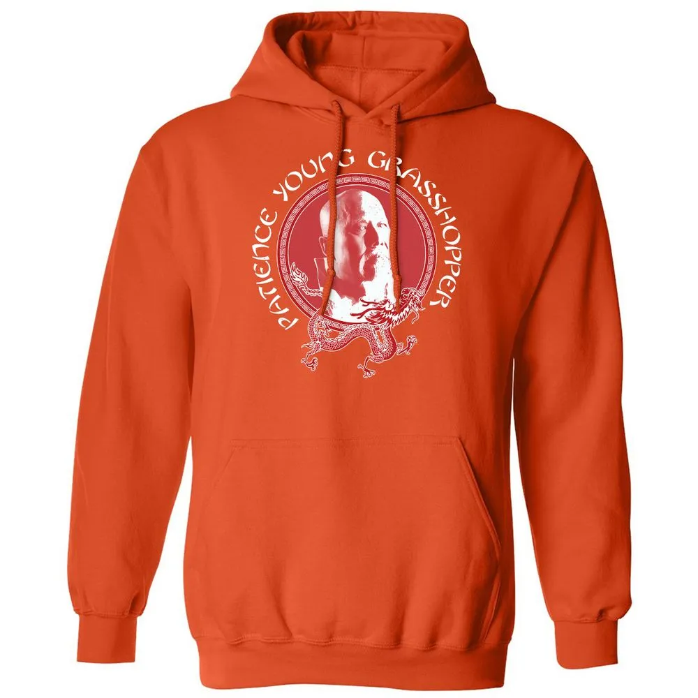 Classic Unisex Hoodie - DVS73EP6 - Orange - 10