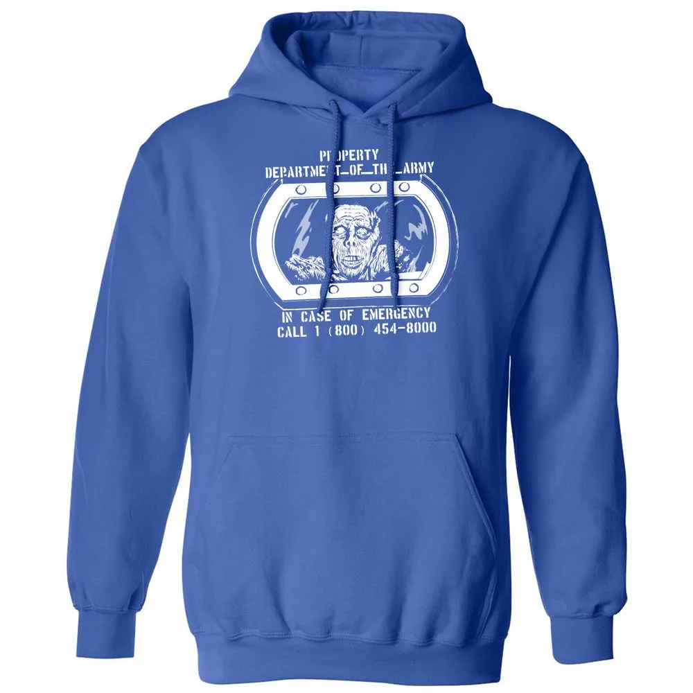 Classic Unisex Hoodie - RJ2JT4ZH - Royal - 9
