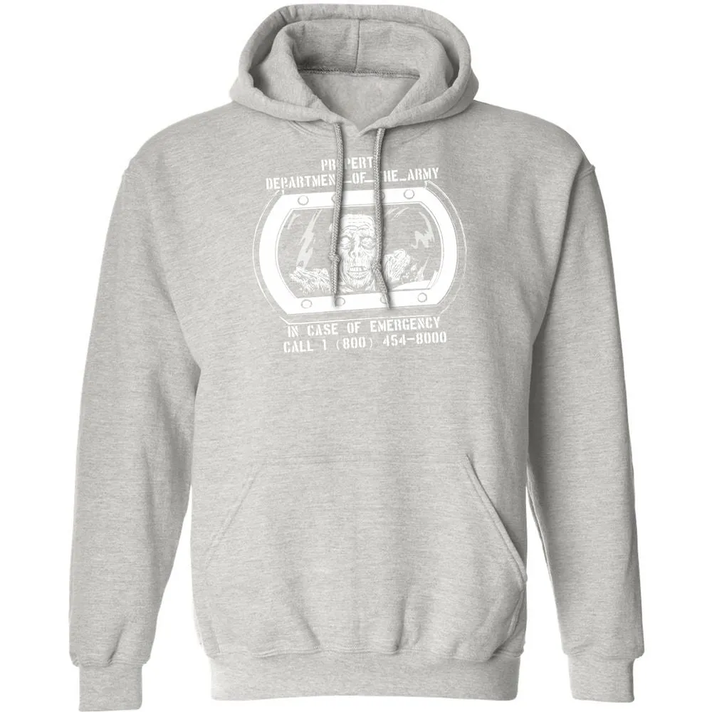 Classic Unisex Hoodie - RJ2JT4ZH - Ash - 8