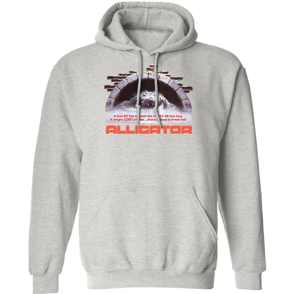 Classic Unisex Hoodie - M41JYKK9 - Ash - 8