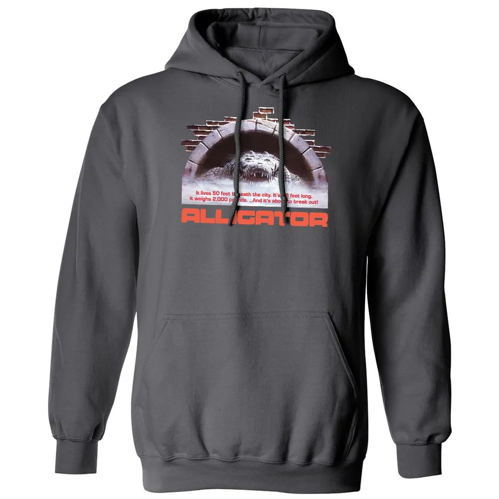 Classic Unisex Hoodie - M41JYKK9 - Charcoal - 7