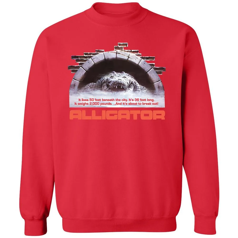 Classic Unisex Sweatshirt - PMDPJVEW - Red - 5