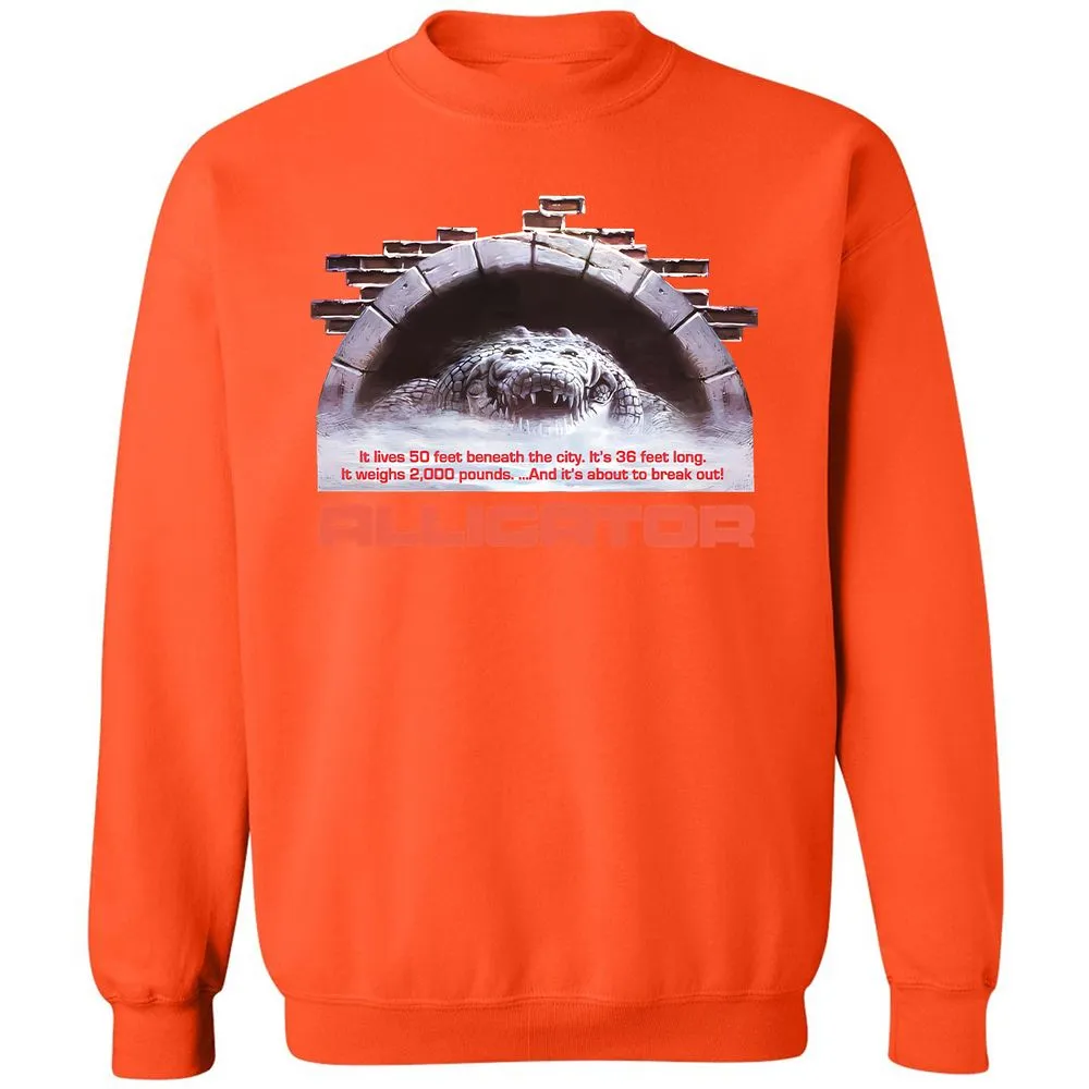 Classic Unisex Sweatshirt - PMDPJVEW - Orange - 10