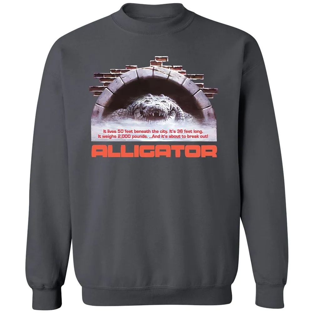 Classic Unisex Sweatshirt - PMDPJVEW - Charcoal - 7