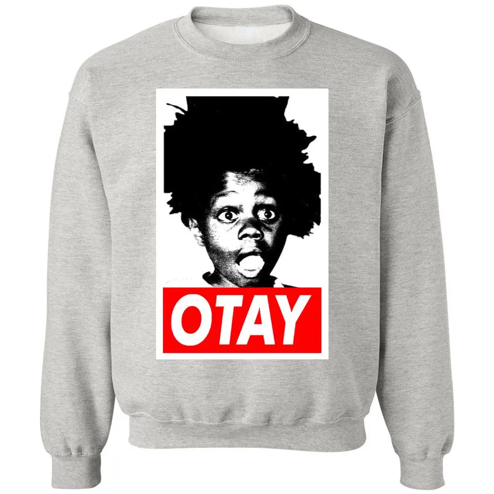 Classic Unisex Sweatshirt - 2CU7AXRT - Ash - 8