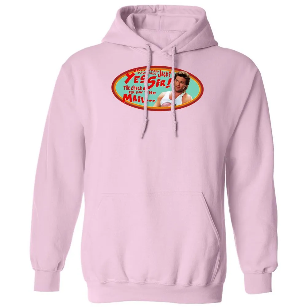 Classic Unisex Hoodie - GZB4X1PF - Light Pink - 3