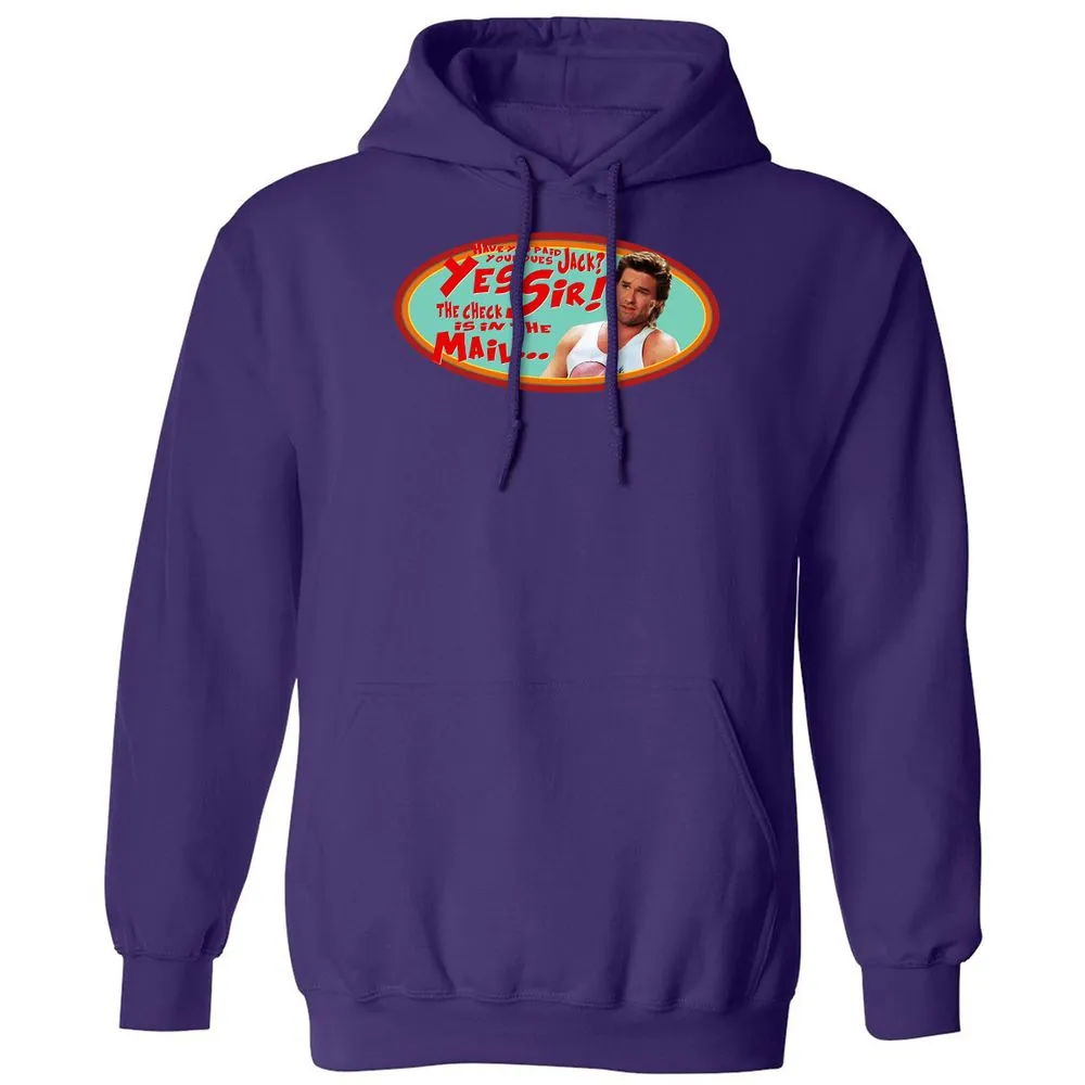 Classic Unisex Hoodie - GZB4X1PF - Purple - 6