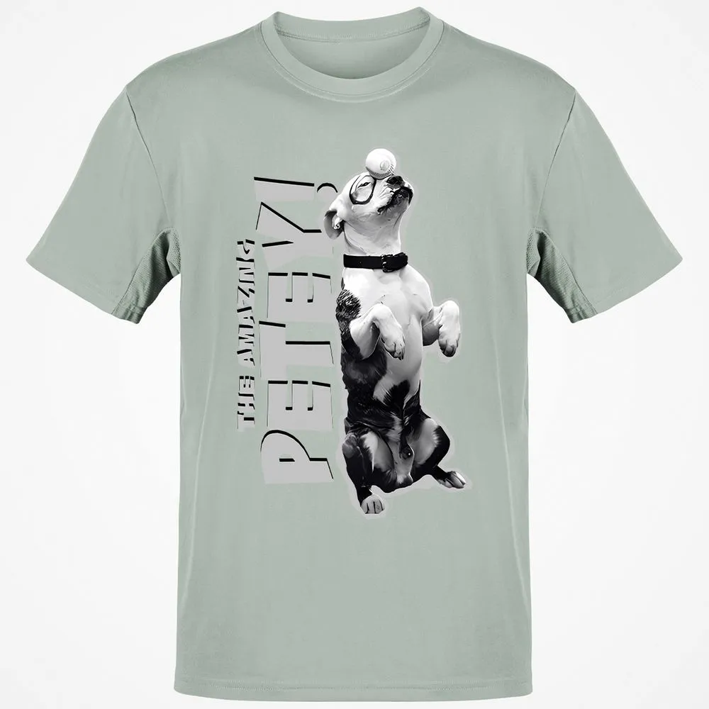 Classic Unisex T-Shirt - C7A11TXY - Ash - 2