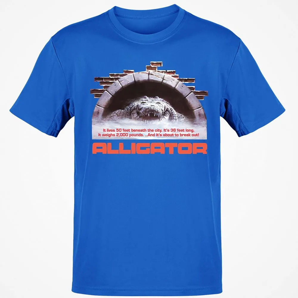 Classic Unisex T-Shirt - MDH2YNDT - Royal - 11