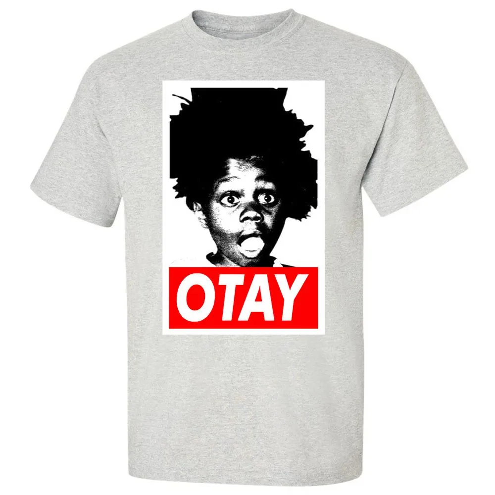 Classic Unisex T-Shirt - N1QABNG1 - Ash - 2