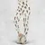 Legging - YLAZVYCZ - 2