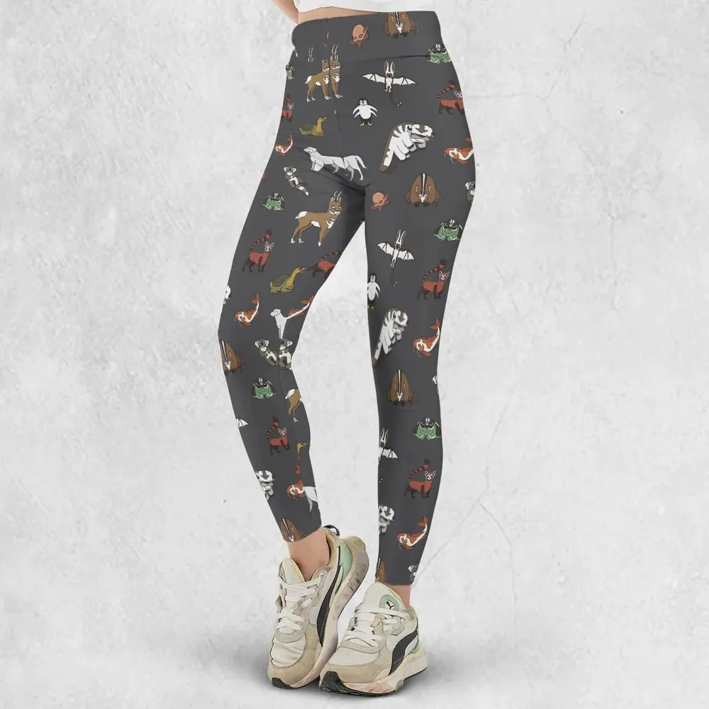 Menagerie Appa Sky Bison Momo Naga Pabu Avartar The Last Airbender Legging - 2