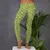 Druid Class Leggings - 2