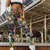3D Dices Leggings - 1