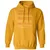 Attorney Stats Classic Unisex Hoodie - Gold - 12