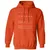 Archivist Stats Classic Unisex Hoodie - Orange - 10