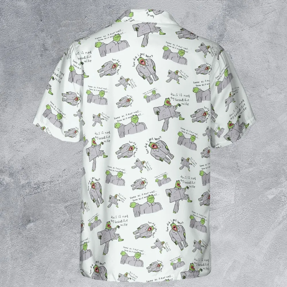 Frog Got No Clue Where He Is -  - 3