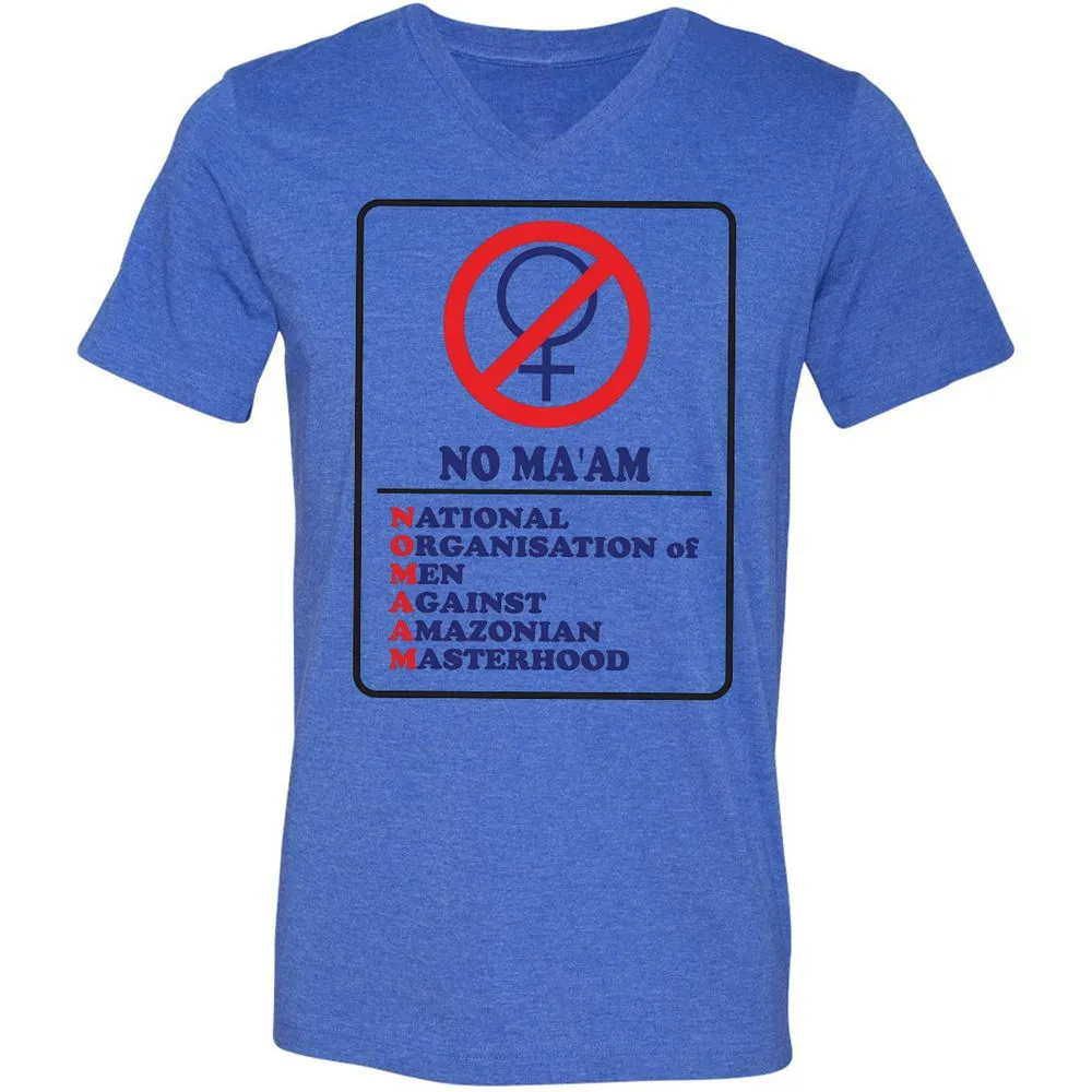 Unisex V-Neck T-Shirt - 324R1Q4L - Heather True Royal - 14
